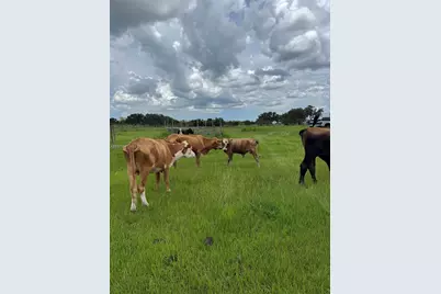 292 Lott Grade, Other City - In The State Of Florida, FL 33960 - Photo 11