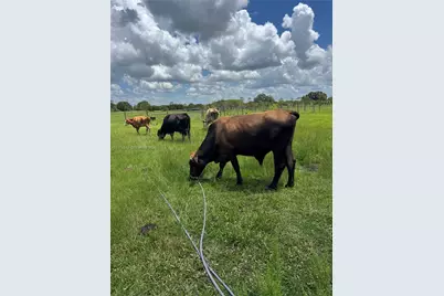 292 Lott Grade, Other City - In The State Of Florida, FL 33960 - Photo 9