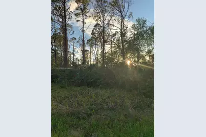 0 Hamerton, North Port, FL 34288 - Photo 3