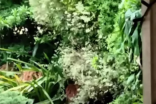 5411 SW 147th Ct, Miami, FL 33185 - Photo 1