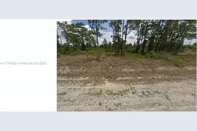 414 Abbott, Lehigh Acres, FL 33972 - Photo 3
