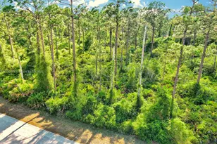 2019 Columbus Ave, Lehigh Acres, FL 33920 - Photo 1