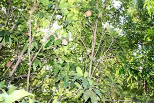 31050 SW 193rd Ave, Homestead, FL 33030 - Photo 47