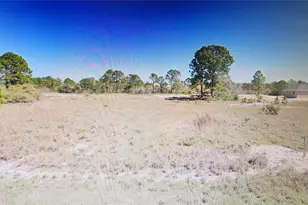 127 Briarpatch Dr, Lake Placid, FL 33852 - Photo 1