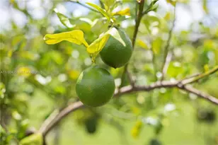 28505 SW 207th Ave, Homestead, FL 33030 - Photo 29