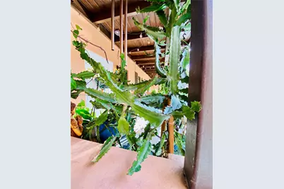 200 Azure Way, Miami Springs, FL 33166 - Photo 23