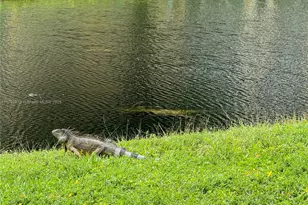 2900 N Pine Island Rd, Sunrise, FL 33322 - Photo 11