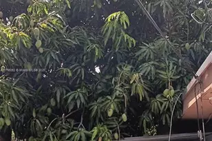 940 E 9th Pl, Hialeah, FL 33010 - Photo 5