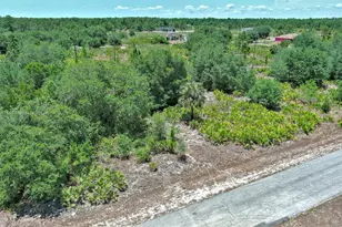 603 Fitch Ave, Lehigh Acres, FL 33972 - Photo 3