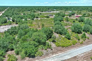 603 Fitch Ave, Lehigh Acres, FL 33972 - Photo 7