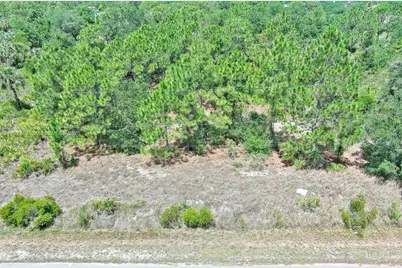 805 Lincoln Ave, Lehigh Acres, FL 33972 - Photo 5