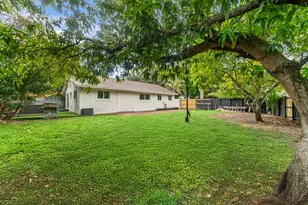 1631 N 29th Ct, Hollywood, FL 33020 - Photo 3