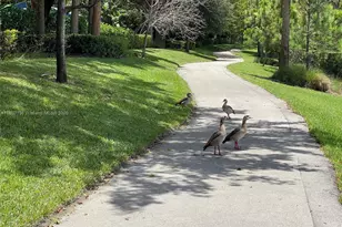 4400 Hillcrest Dr, Hollywood, FL 33021 - Photo 31