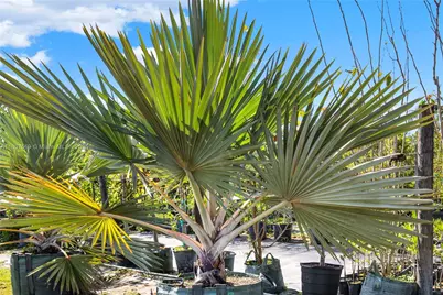 22401 SW 130 Ave, Miami, FL 33170 - Photo 3