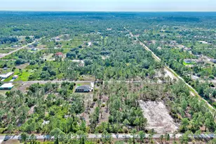 317 Fitch Ave, Lehigh Acres, FL 33936 - Photo 19