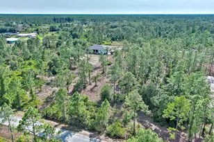 317 Fitch Ave, Lehigh Acres, FL 33936 - Photo 7