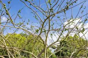 13101 SW 205th Ave, Miami, FL 33196 - Photo 49