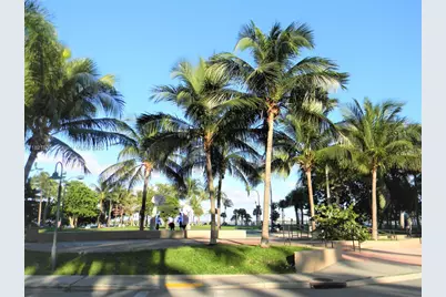 2000 N Bayshore Dr #617, Miami, FL 33137 - Photo 43