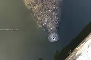 5151 N Hwy A1A, Fort Pierce, FL 34949 - Photo 29