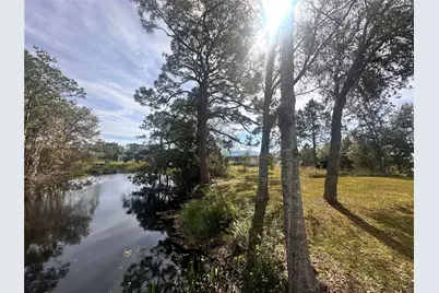 131 Blue Moon Avenue, Lake Placid, FL 33852 - Photo 13