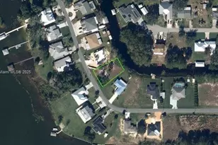 131 Blue Moon Ave, Lake Placid, FL 33852 - Photo 1