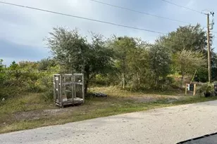 808 Frederick Reid St E, Lehigh Acres, FL 33974 - Photo 3