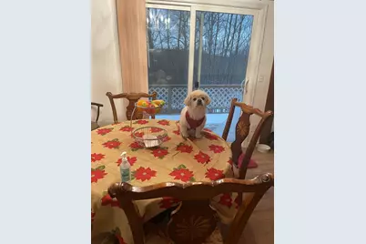 123 Rocky Rd, , PA 18435 - Photo 33