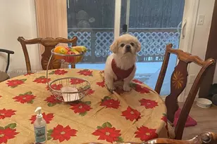 123 Rocky Rd, , PA 18435 - Photo 33