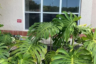 3320 N Pinewalk Dr N, Margate, FL 33063 - Photo 7