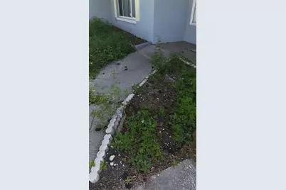 809 E Glen Oak, Clearwater, FL 33759 - Photo 23