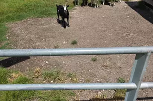 648 Avenida Del Sur, Clewiston, FL 33440 - Photo 27