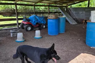 648 Avenida Del Sur, Clewiston, FL 33440 - Photo 7