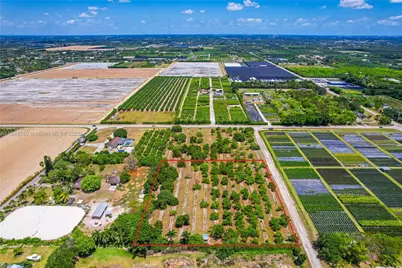 254Xx SW 217Ave, Homestead, FL 33031 - Photo 3