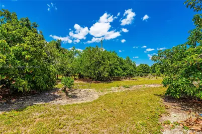 254Xx SW 217Ave, Homestead, FL 33031 - Photo 19