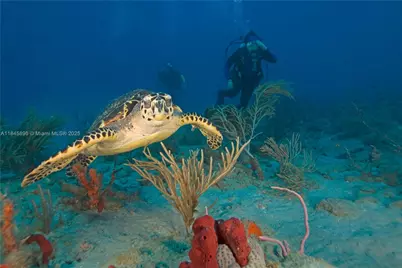 6322 Royal Woods Dr, Fort Myers, FL 33908 - Photo 35