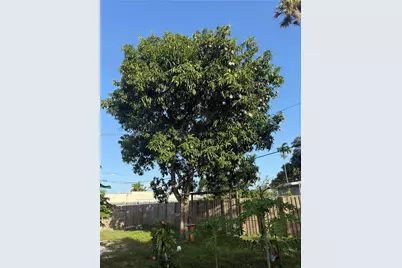 800 SW 26th Ct, Fort Lauderdale, FL 33315 - Photo 43