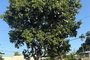 800 SW 26th Ct, Fort Lauderdale, FL 33315 - Photo 43