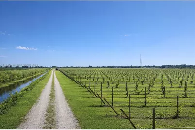 595 N Header Canal Road, Fort Pierce, FL 34945 - Photo 3