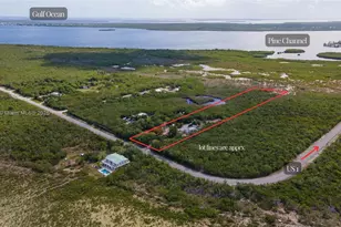 2231 Middle Torch Rd, Torch Key, FL 33042 - Photo 3