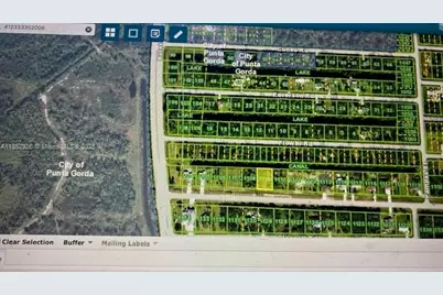 26054 Notre Dame, Punta Gorda, FL 33955 - Photo 5