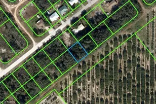 2279 N Lanier Blvd, Avon Park, FL 33825 - Photo 1
