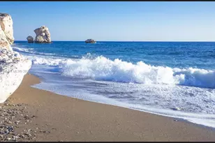 Limassol 12 Arch Makariou, , FL 33180 - Photo 7