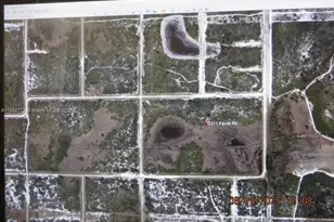 2311 Favre Rd, Avon Park, FL 33825 - Photo 1