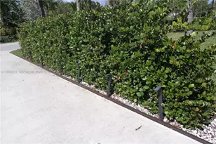 524 NE 27th Dr, Wilton Manors, FL 33334 - Photo 87
