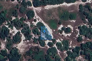 432 Moonlight Ln, Lake Placid, FL 33852 - Photo 1