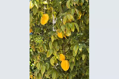 8366 SW 193rd St, Cutler Bay, FL 33157 - Photo 13