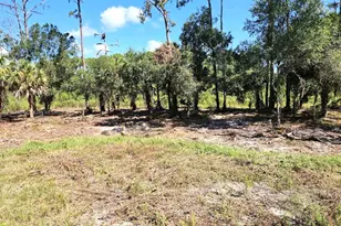 881 Woodland Blvd, Clewiston, FL 33440 - Photo 13