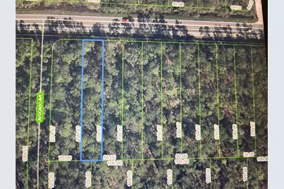 2667 Hammock Rd, Sebring, FL 33872 - Photo 1