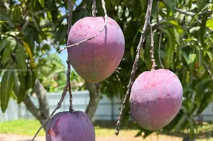 36520 SW 214th Ave, Homestead, FL 33034 - Photo 69