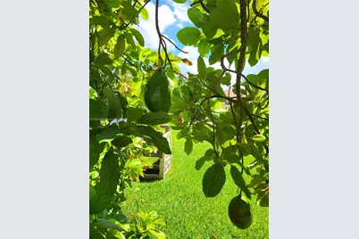 2930 SW 129 Ave, Miami, FL 33175 - Photo 65